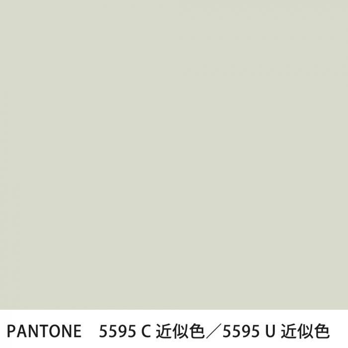  PANTONE 5595C5595U