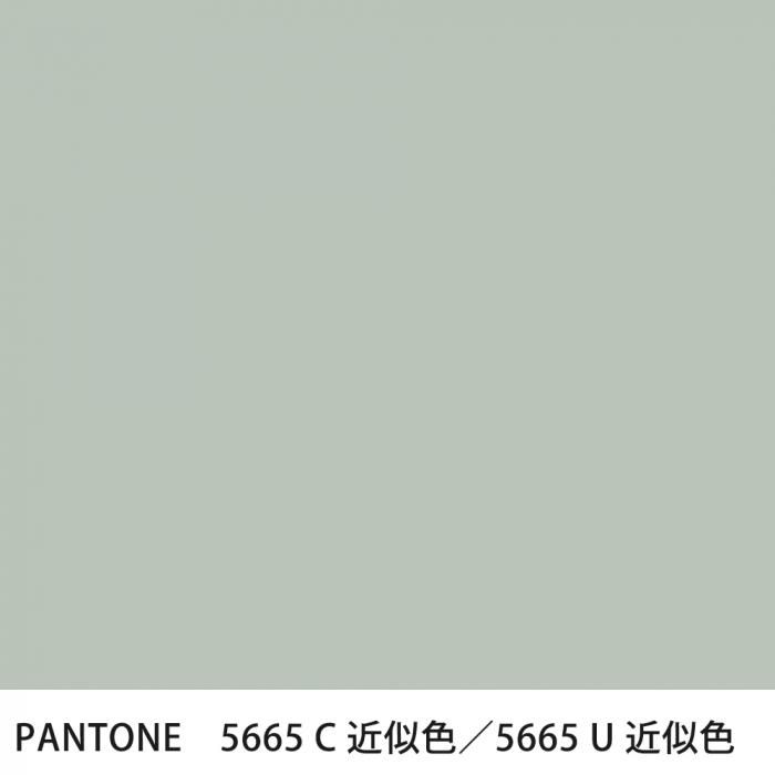  PANTONE 5665C5665U