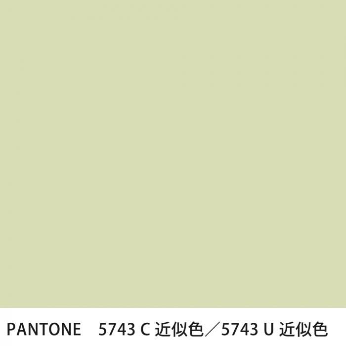  PANTONE 5743C5743U