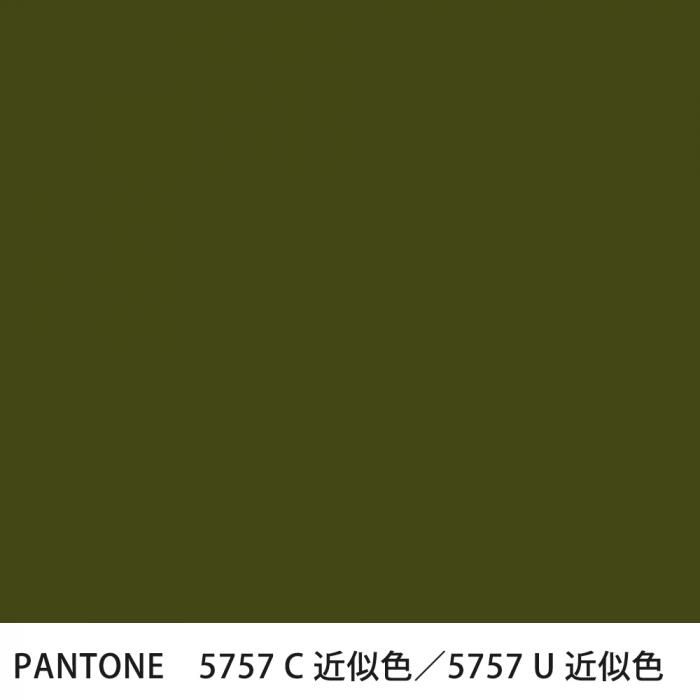  PANTONE 5757C5757U