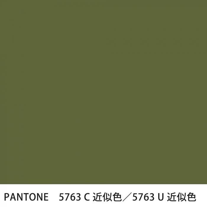  PANTONE 5763C5763U