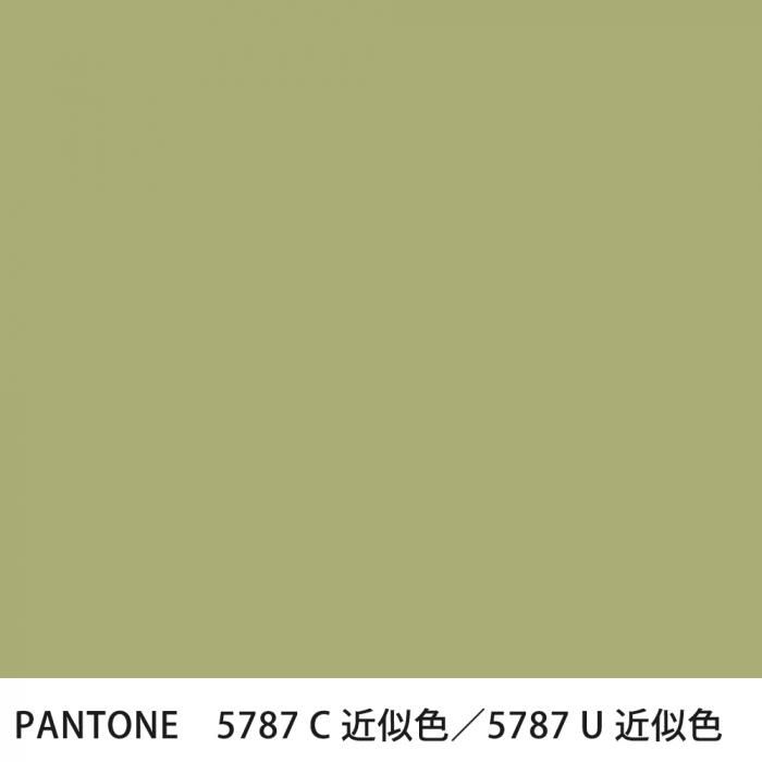  PANTONE 5787C5787U