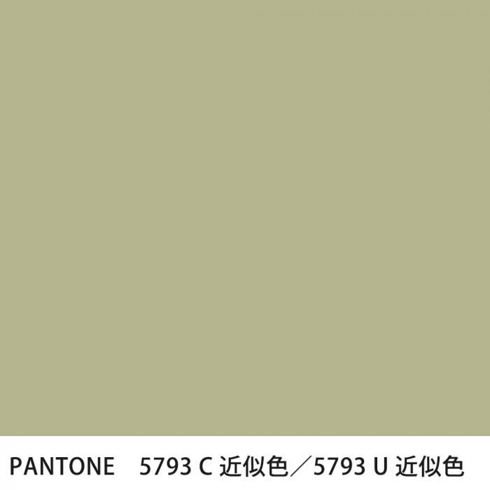  PANTONE 5793C5793U