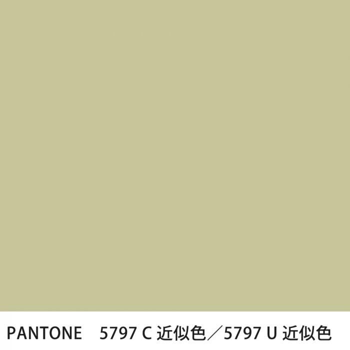  PANTONE 5797C5797U