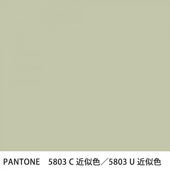  PANTONE 5803C5803U