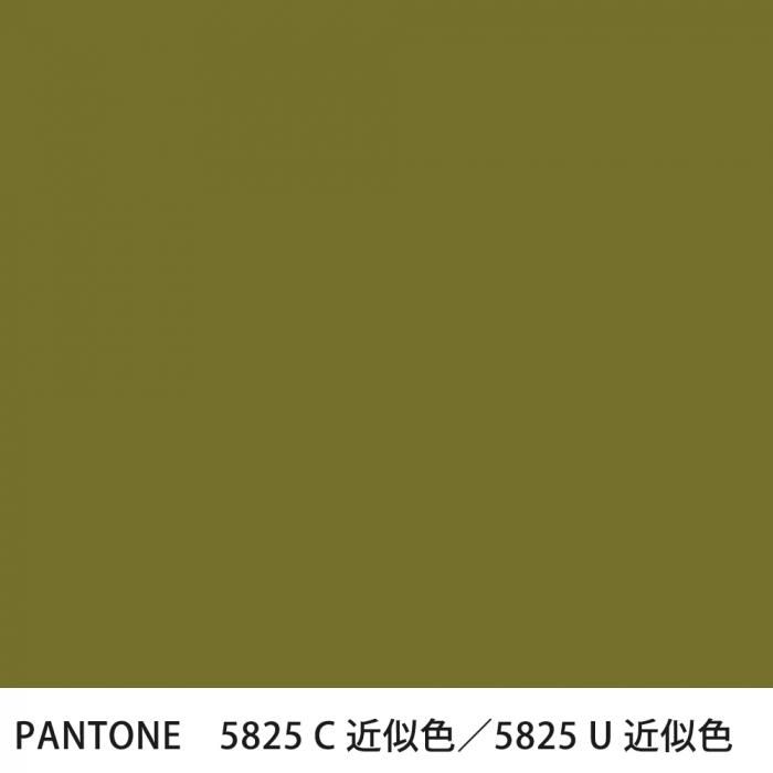  PANTONE 5825C5825U