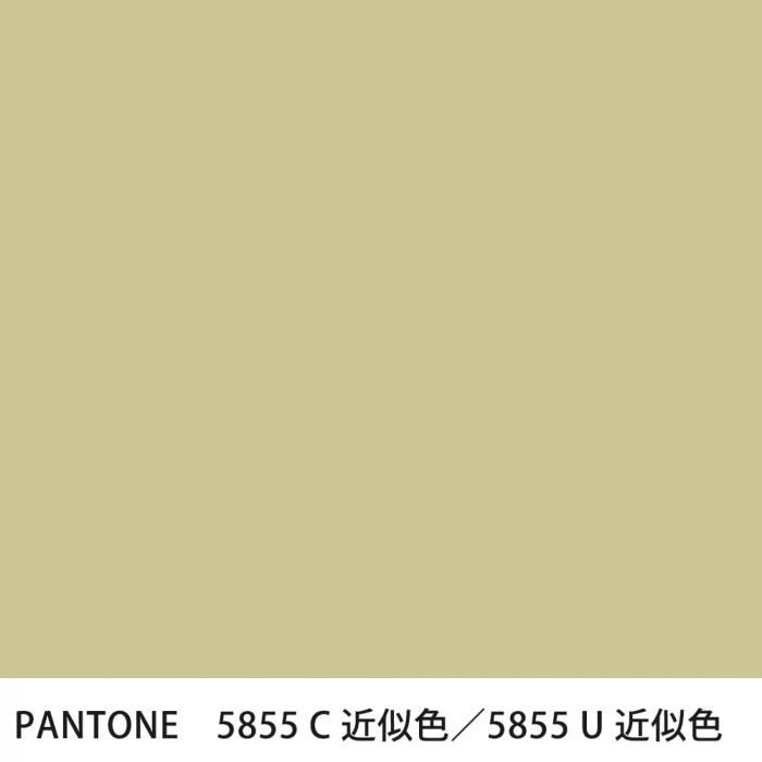  PANTONE 5855C5855U