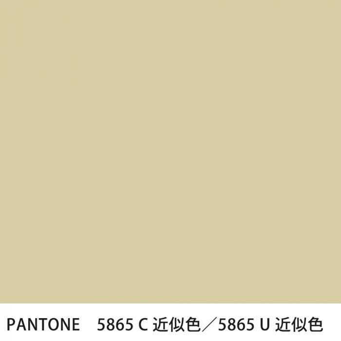  PANTONE 5865C5865U