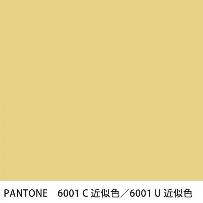  PANTONE 6001C6001U