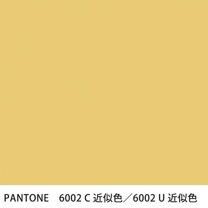  PANTONE 6002C6002U