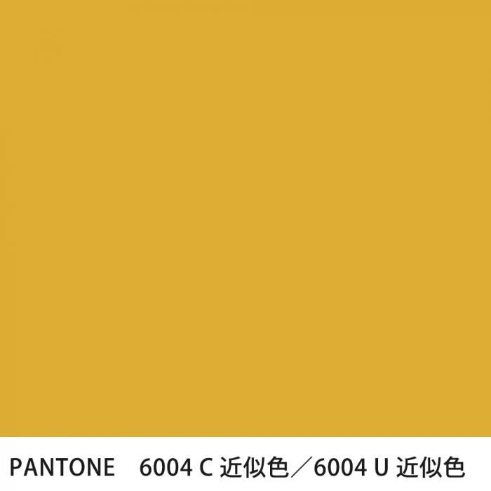  PANTONE 6004C6004U