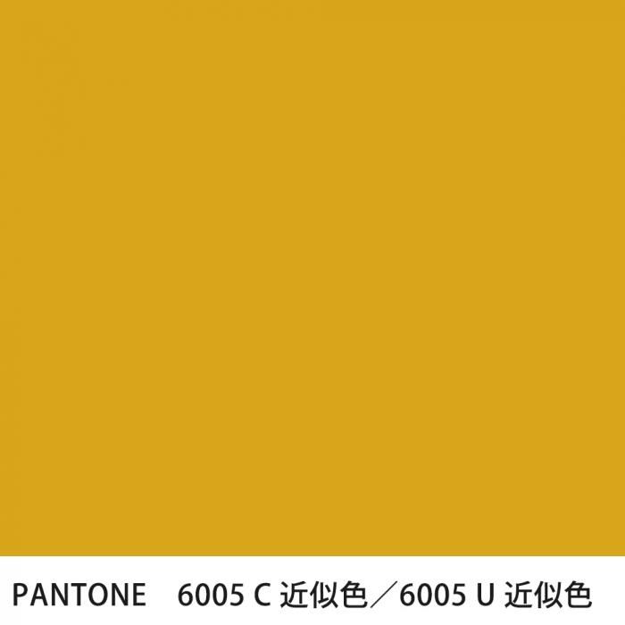  PANTONE 6005C6005U