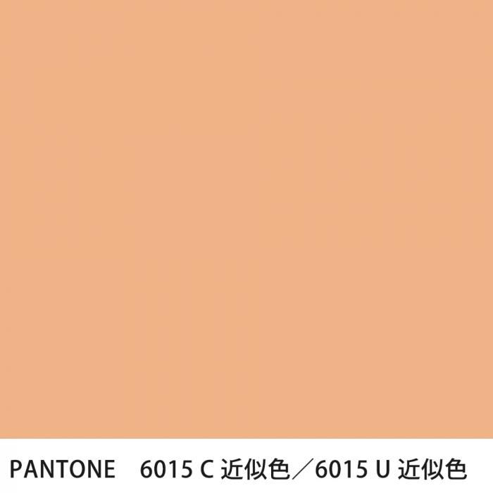  PANTONE 6015C6015U