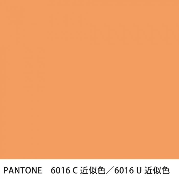  PANTONE 6016C6016U