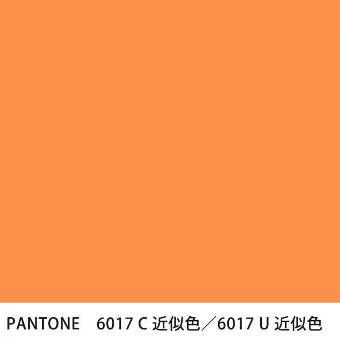  PANTONE 6017C6017U