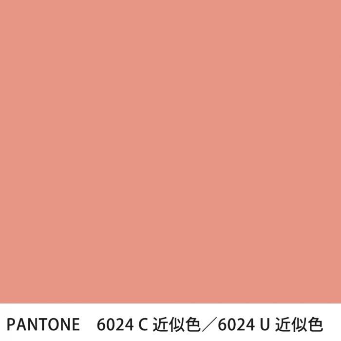  PANTONE 6024C6024U