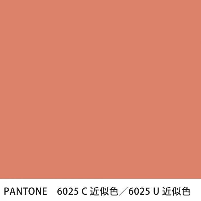  PANTONE 6025C6025U