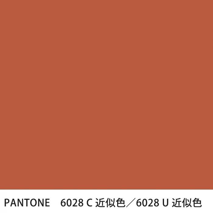  PANTONE 6028C6028U