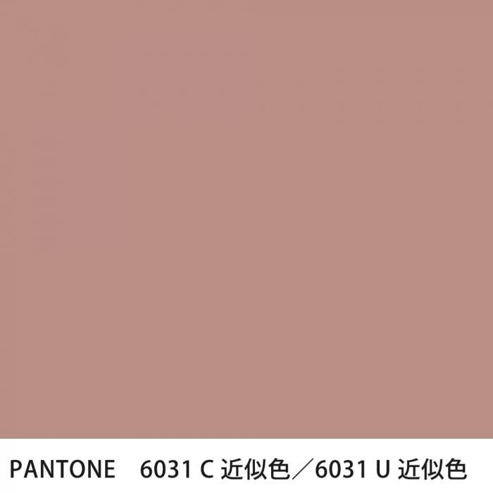  PANTONE 6031C6031U