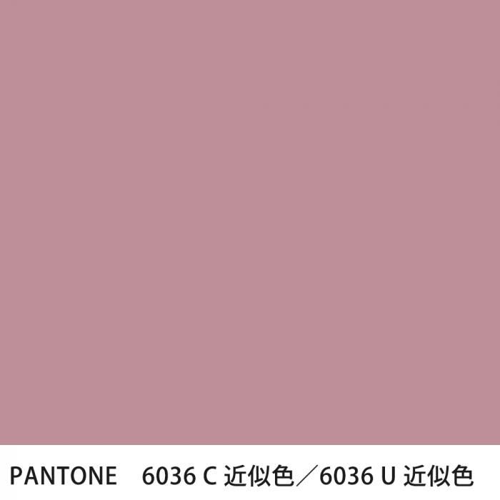  PANTONE 6036C6036U