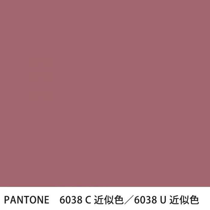  PANTONE 6038C6038U