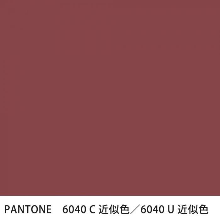  PANTONE 6040C6040U