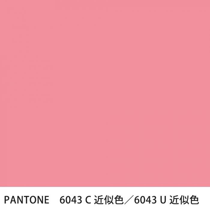  PANTONE 6043C6043U