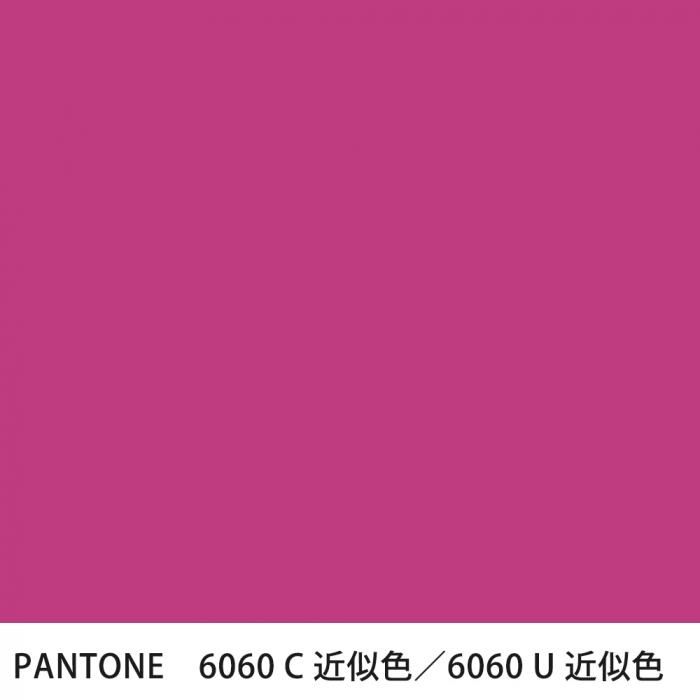  PANTONE 6060C6060U