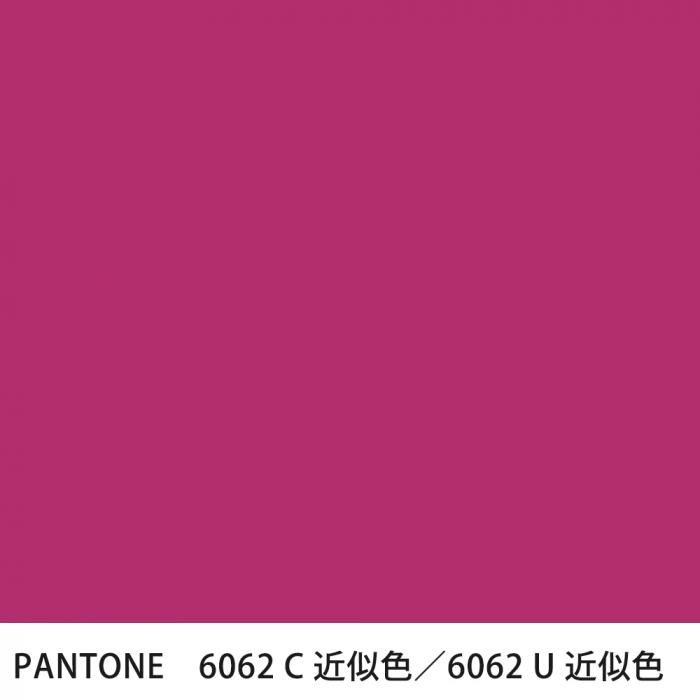  PANTONE 6062C6062U