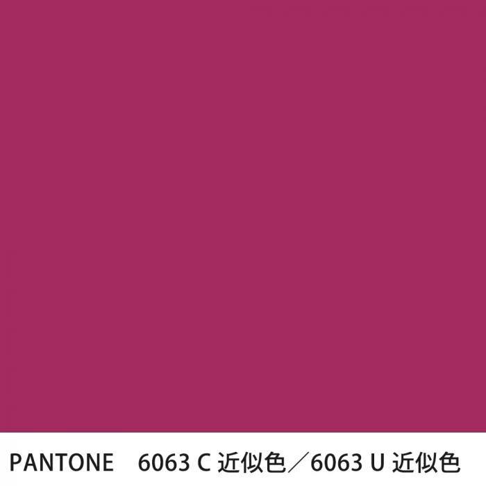  PANTONE 6063C6063U