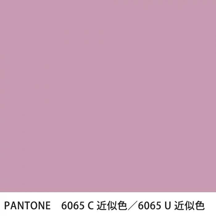  PANTONE 6065C6065U