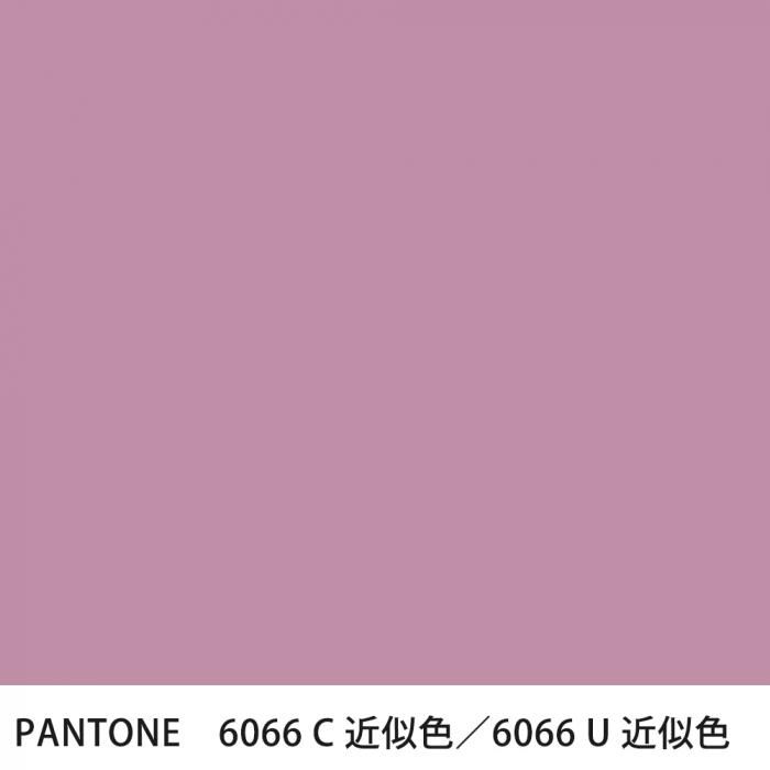  PANTONE 6066C6066U