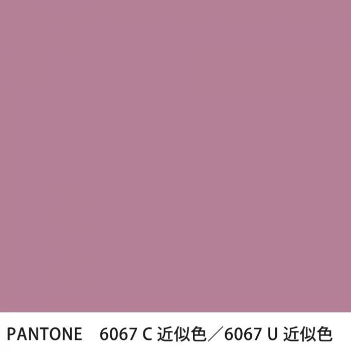  PANTONE 6067C6067U