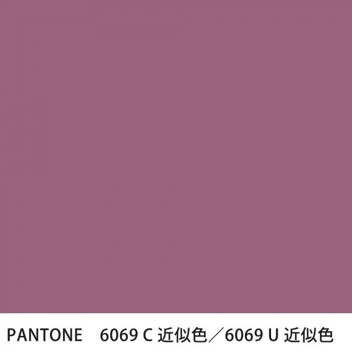  PANTONE 6069C6069U