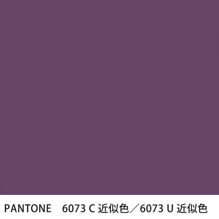  PANTONE 6073C6073U