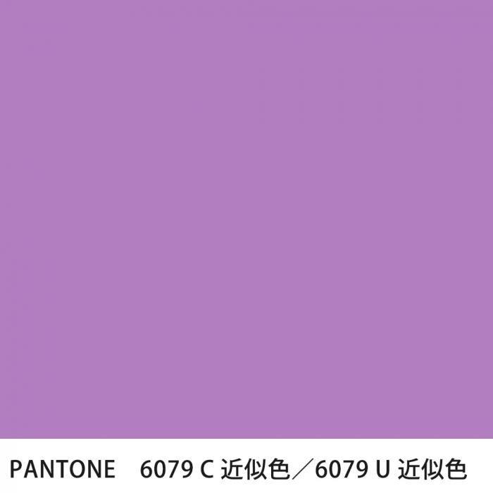  PANTONE 6079C6079U