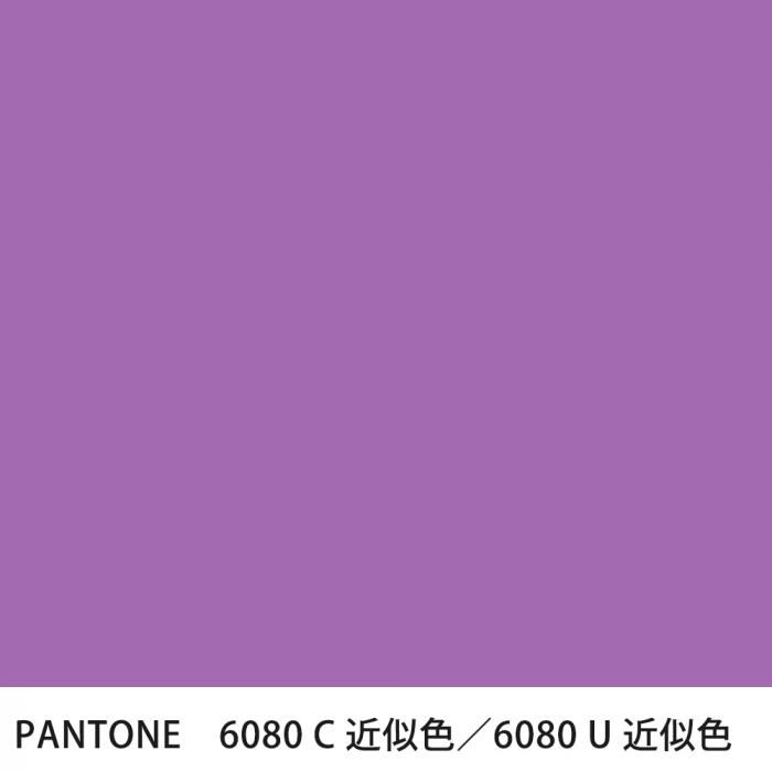  PANTONE 6080C6080U