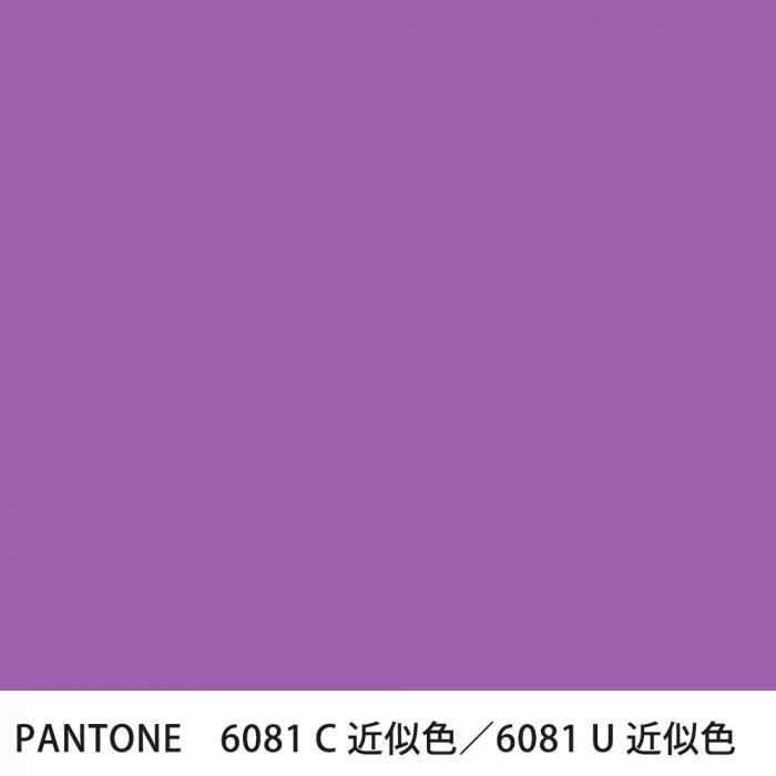  PANTONE 6081C6081U