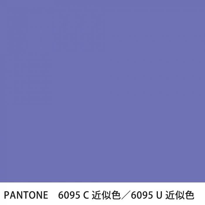  PANTONE 6095C6095U