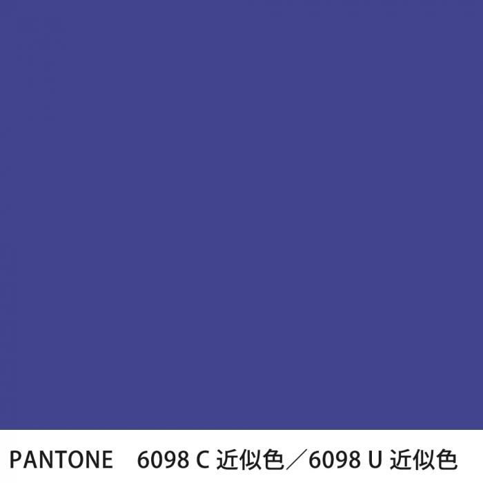  PANTONE 6098C6098U