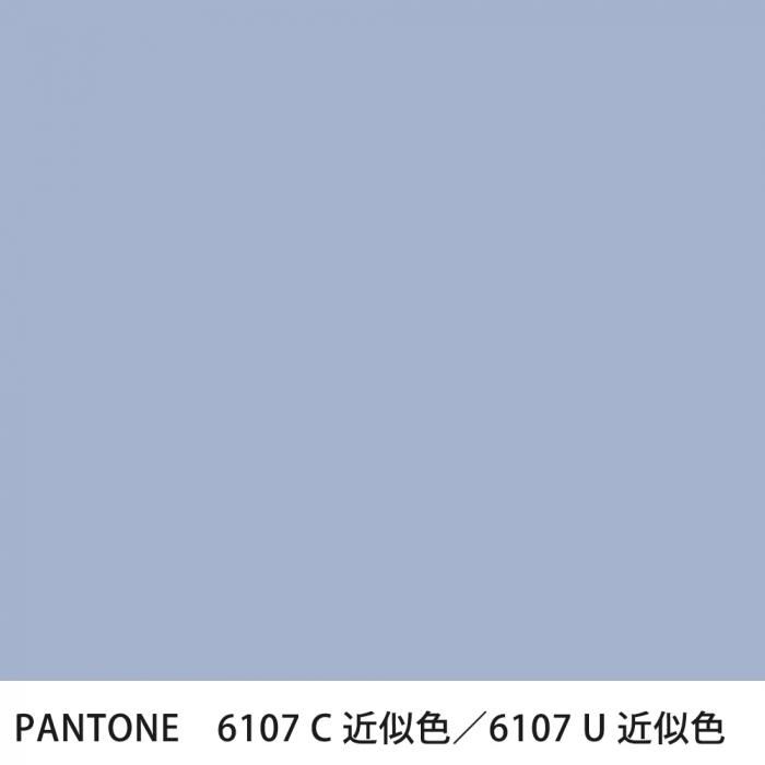  PANTONE 6107C6107U