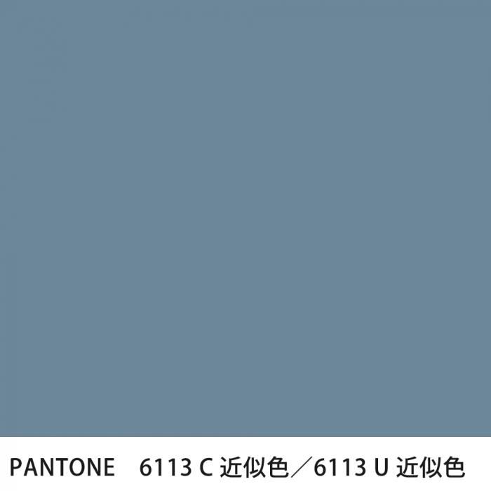  PANTONE 6113C6113U