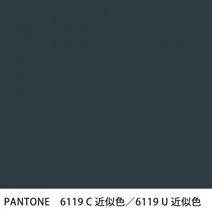  PANTONE 6119C6119U