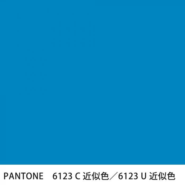  PANTONE 6123C6123U