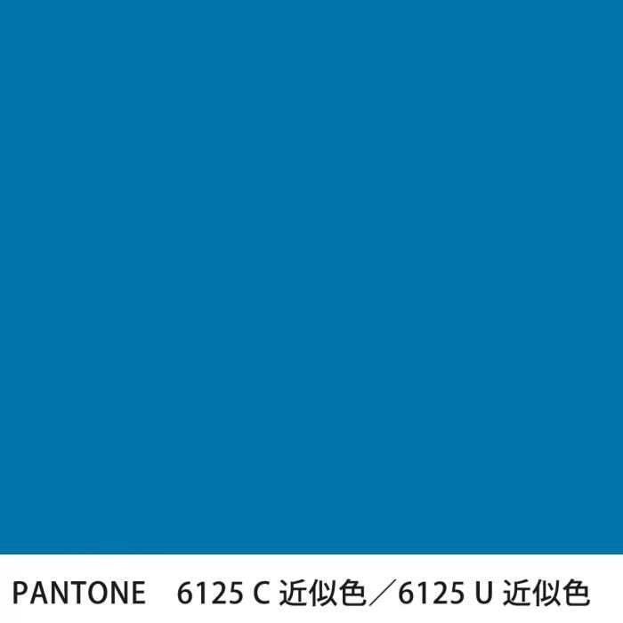  PANTONE 6125C6125U