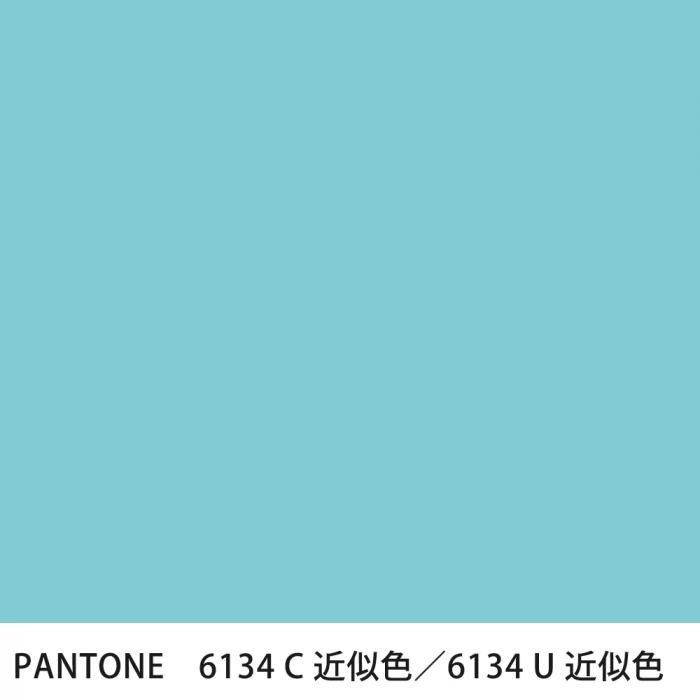  PANTONE 6134C6134U