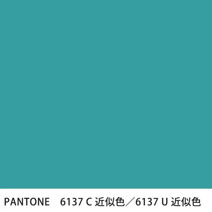  PANTONE 6137C6137U