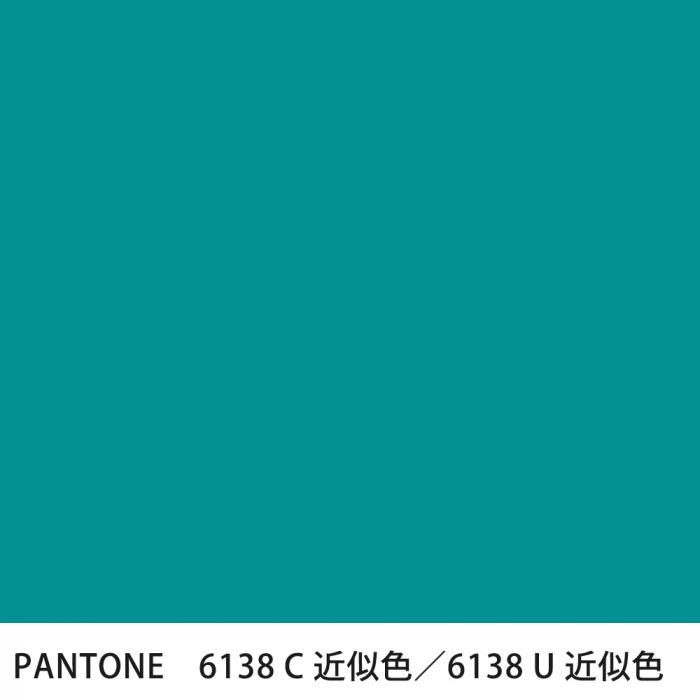  PANTONE 6138C6138U