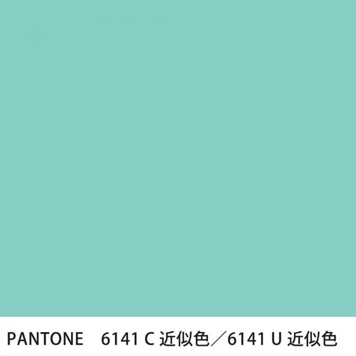  PANTONE 6141C6141U