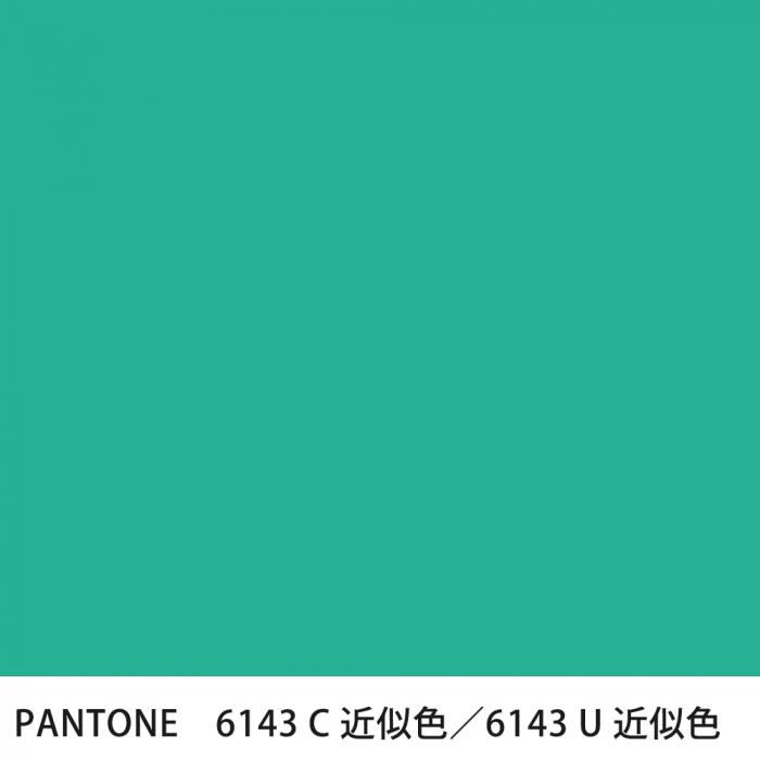  PANTONE 6143C6143U